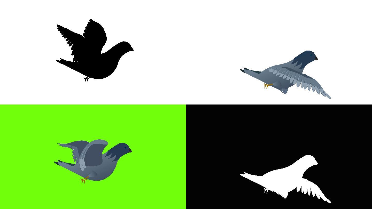 鸽子飞行动画抠像通道抽象3D