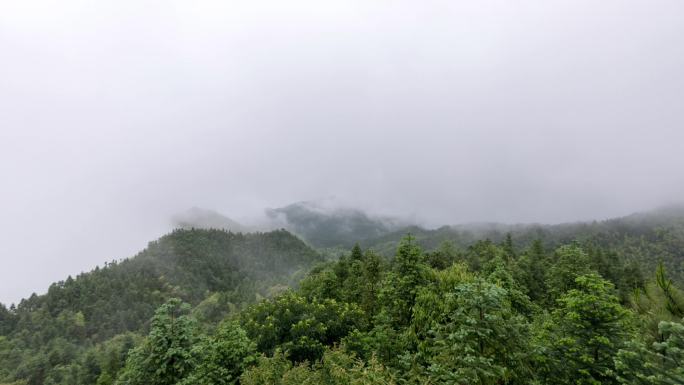 素材-遂川森林瞭望塔航拍延时