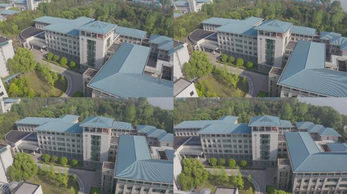 武汉大学经济与管理学院