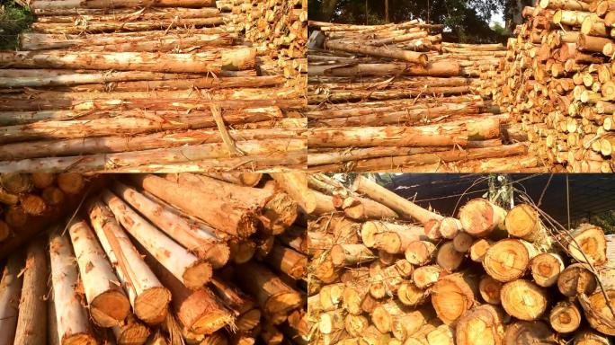 一堆木材速风桉树木胶合板厂原材料