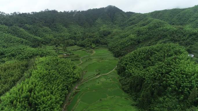 山中梯田