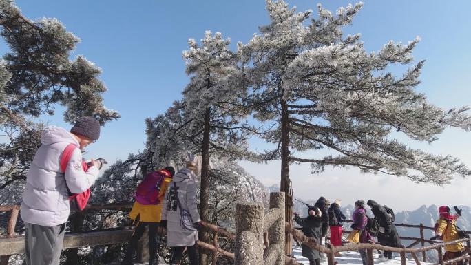 安徽黄山冬天雪景雾凇