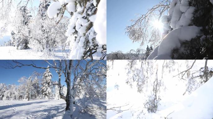 雪景