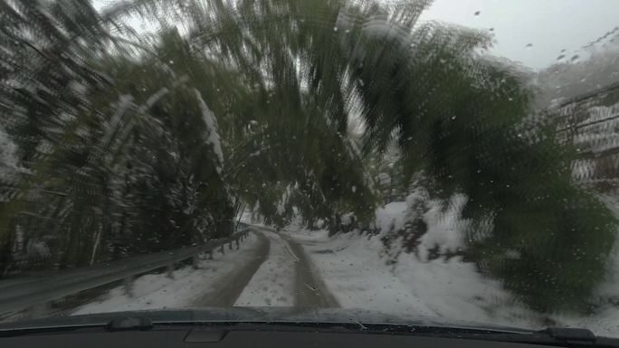 开车穿越山路竹林雪景