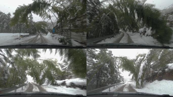 开车穿越山路竹林雪景