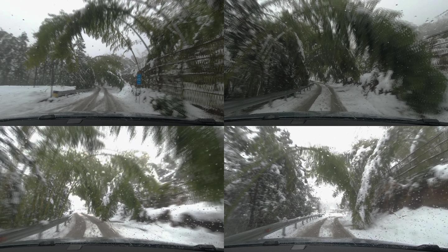 开车穿越山路竹林雪景