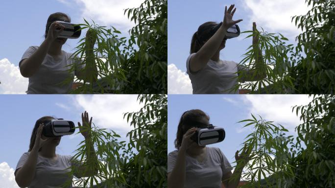 女性使用虚拟现实眼镜观看植物