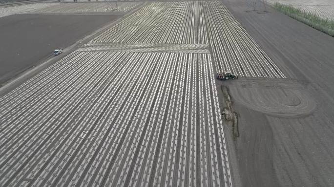 新疆哈密：兵团机采棉拉开了棉花种植的序幕