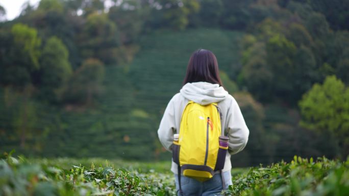 春天阳光下茶园中走路漫步郊游年轻女孩背影