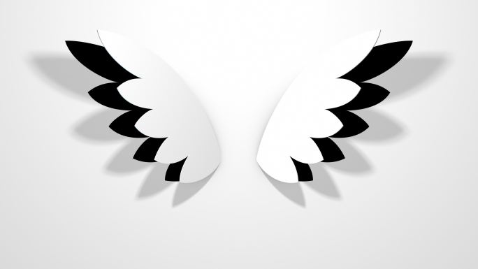 灰色背景上的翅膀动画