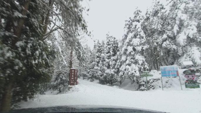 金华山自驾游雪景风光