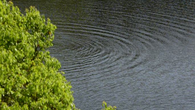 重庆巴南石龙下涧口水库的风景