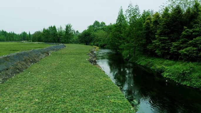 乡村生态河道