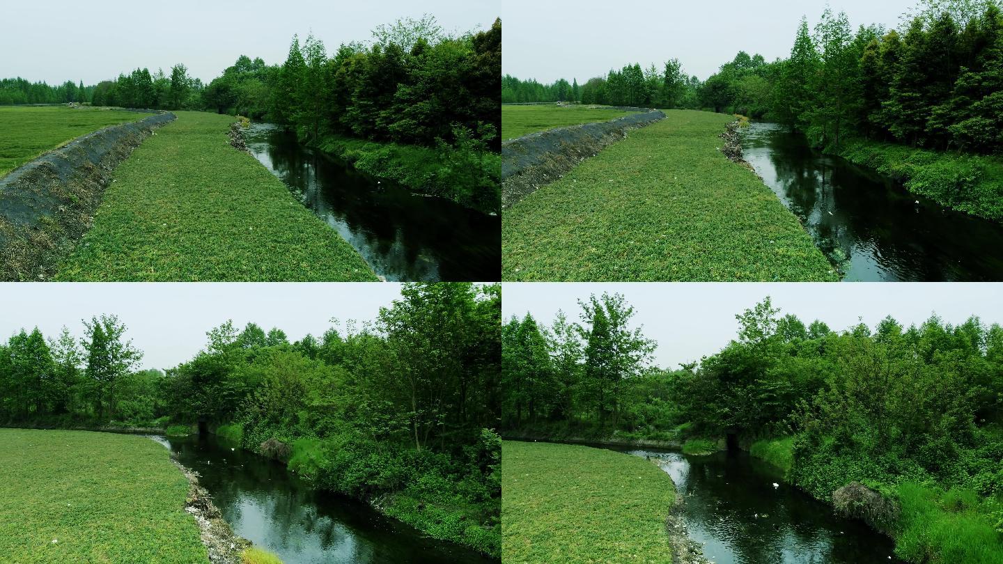 乡村生态河道