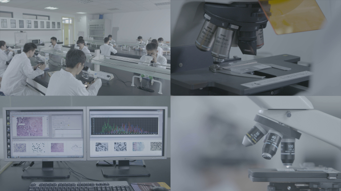 【有版权】4K显微镜科学医学研发实验室
