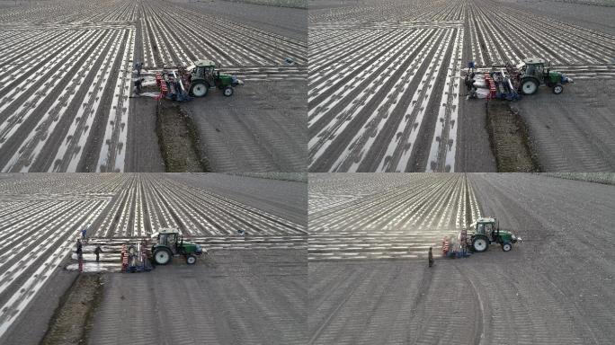 新疆哈密：兵团机采棉拉开了棉花种植的序幕