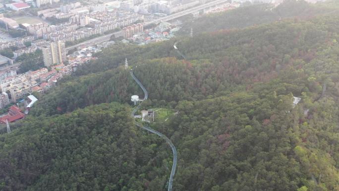 4K原素材-航拍厦门思明区城市全景