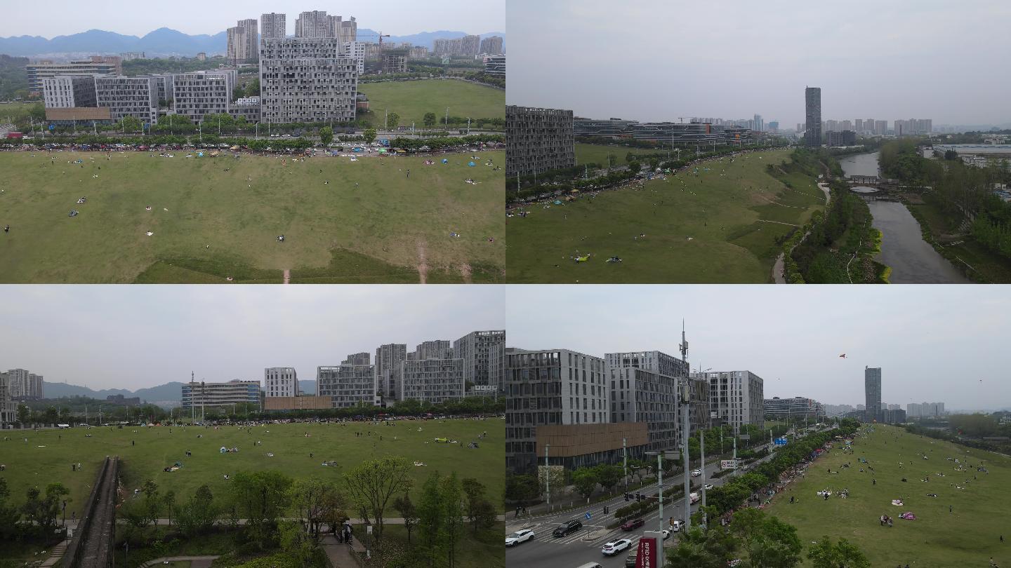 重庆南岸区茶园大草坪