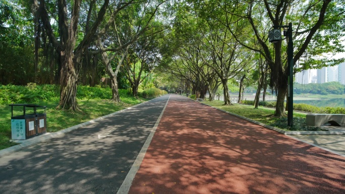 城市公园阳光林荫大道跑道骑行绿道小路