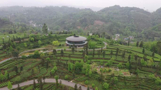 四川省眉山市洪雅县青杠坪茶山航拍素材