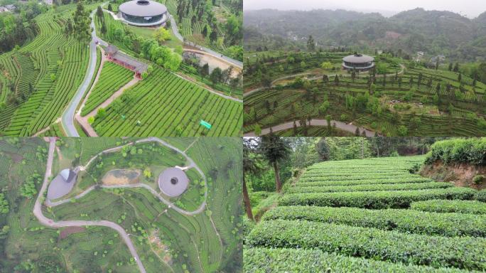 四川省眉山市洪雅县青杠坪茶山航拍素材