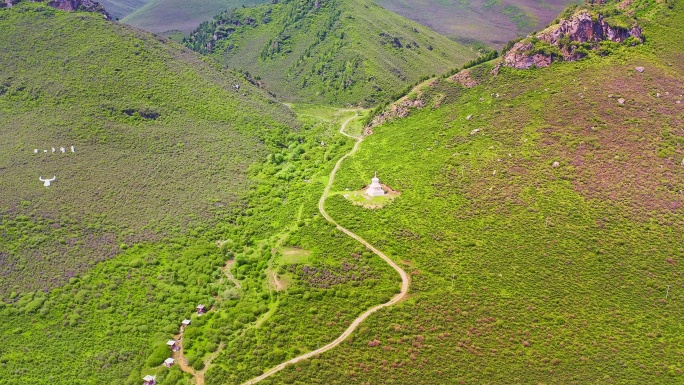 中国甘肃省高山草原自然风景佛教白塔航拍