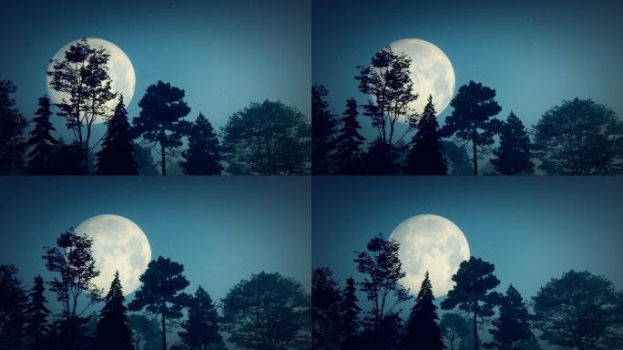 月亮和树木唯美特效视频