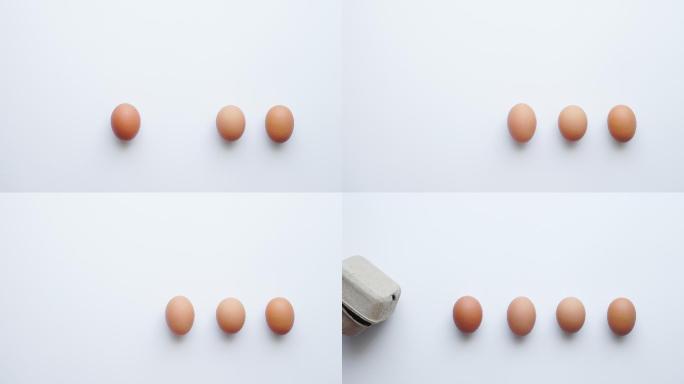 鸡蛋在纸板箱中移动动画