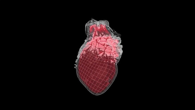 心脏心电图4K