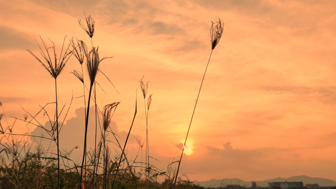 晨曦 夕阳 晚霞素材