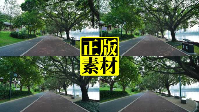 南宁南湖公园阳光林荫跑道