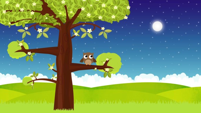 树上的猫头鹰动画可爱简约3D