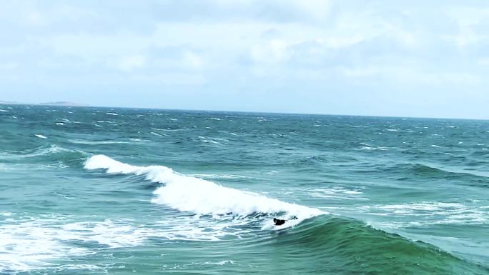 勇敢者的运动：冲浪者在大海巨浪中穿梭