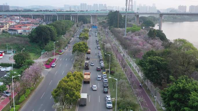 广州大学城