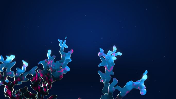 珊瑚生长3d场景大海海洋海底水底生物