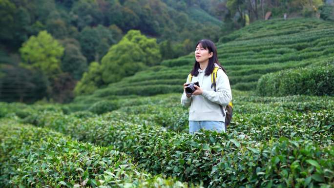 春天阳光下年轻女孩郊游茶园拿相机拍摄景色