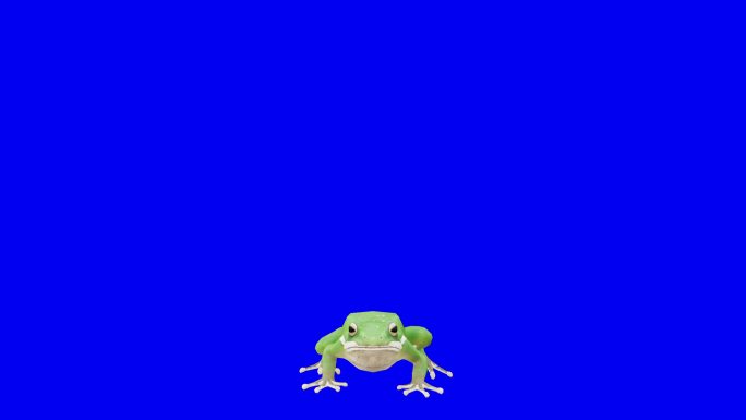 绿青蛙特效视频