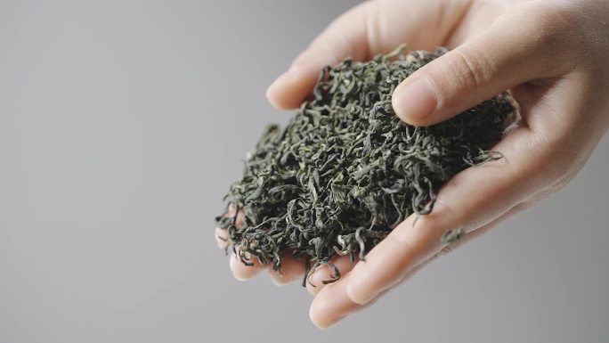 茶叶绿茶超清素材