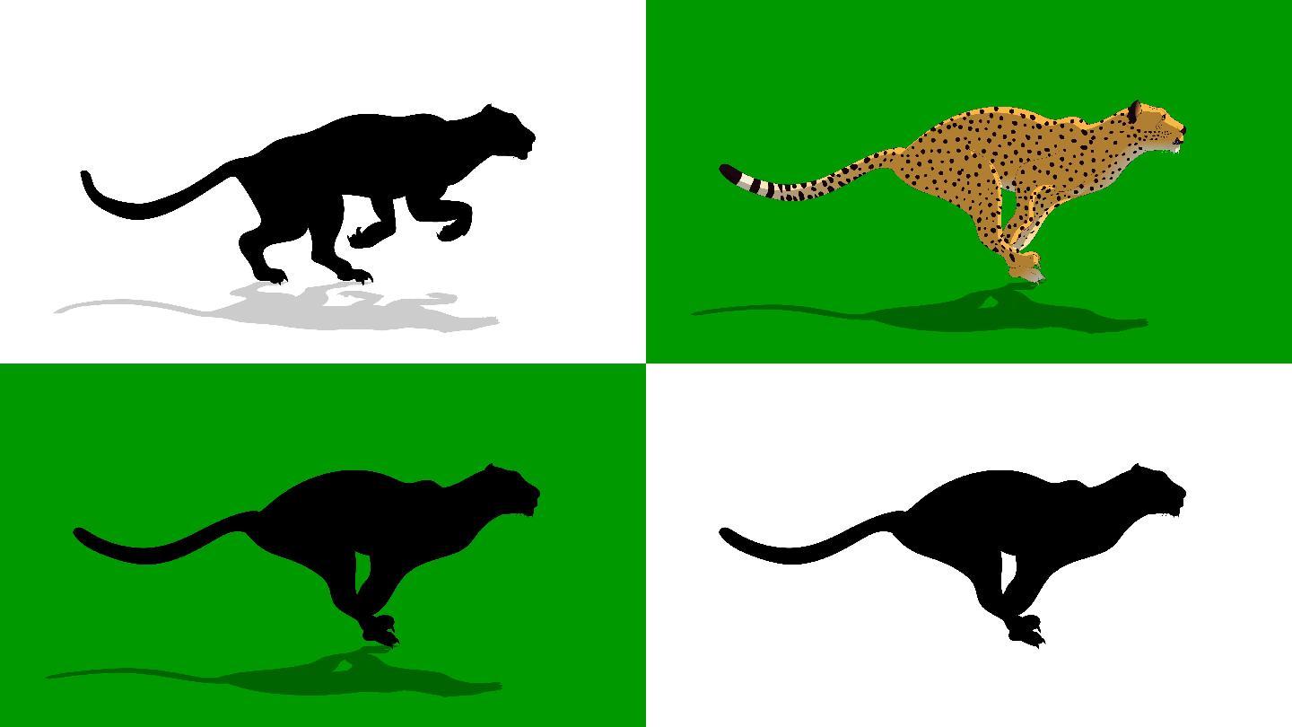 猎豹动物奔跑动画