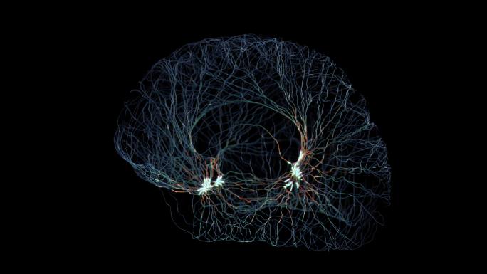 脑神经电信号模拟大脑小脑脑科刺激脑机接口