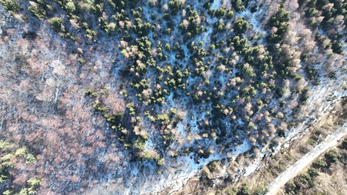 太白山雪景 航拍(7)