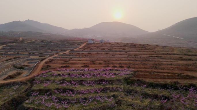 山村的早晨