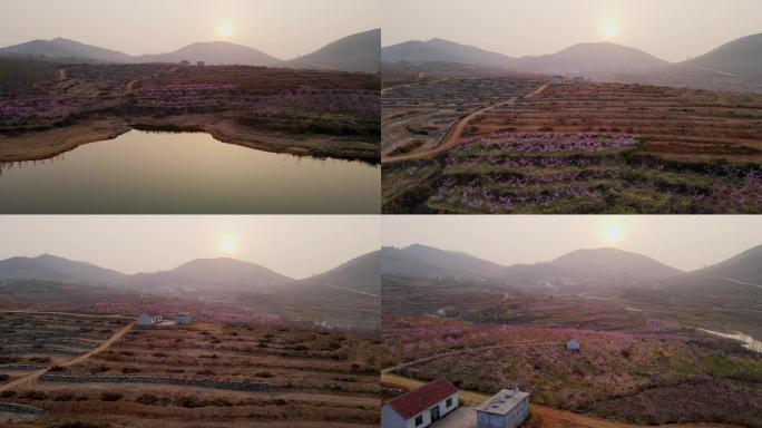 山村的早晨