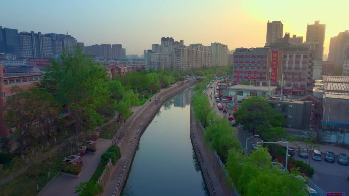 城市河流春天柳树公园郑州