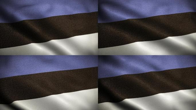 爱沙尼亚国旗素材视频元素