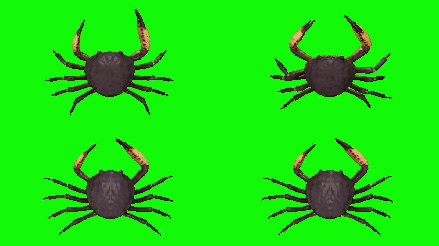 绿屏上垂死的螃蟹特效视频