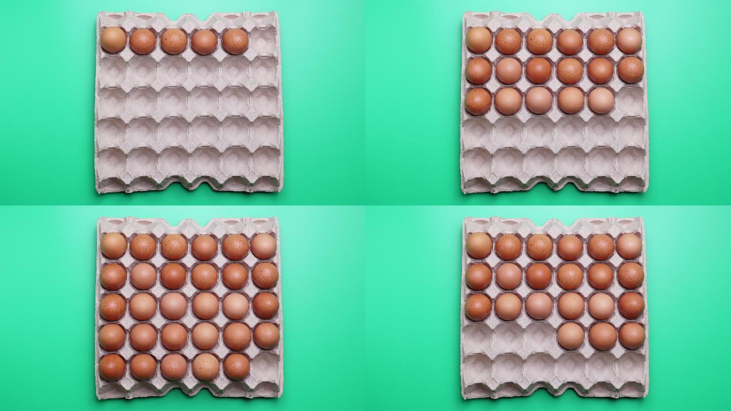 一排棕色鸡蛋在纸板箱中移动