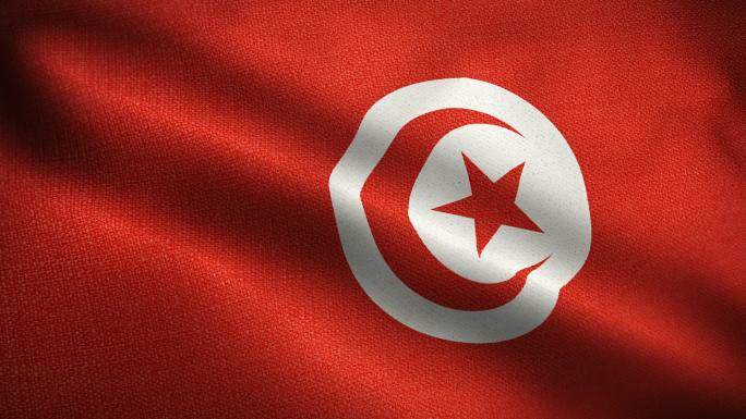 突尼斯国旗动画特效视频