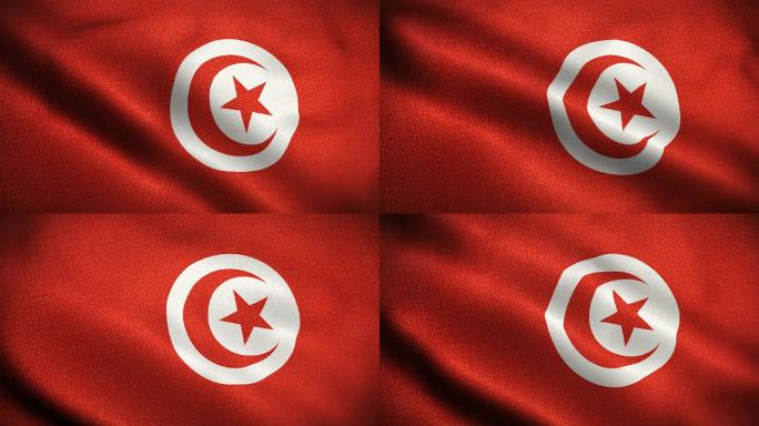 突尼斯国旗动画特效视频