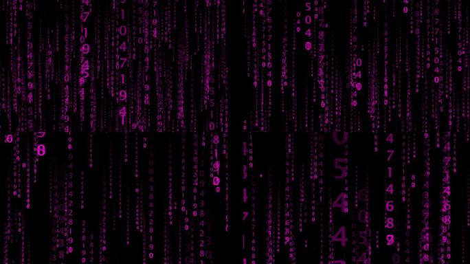 矩阵粉色文本动画黑客帝国数据流大数据